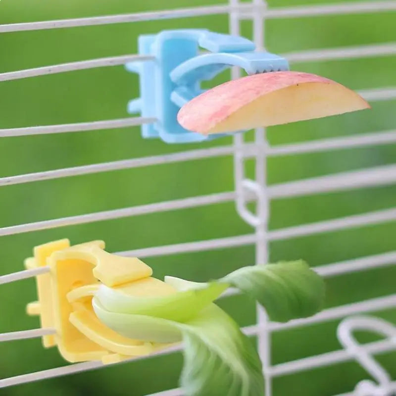 Parrot Food Holder Clip with Chain – Bird Cage Fruit & Vegetable Feeder