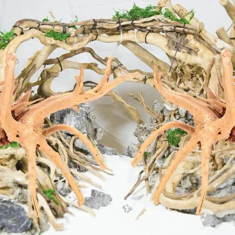 Natural driftwood branches with moss and roots used for aquarium or terrarium decoration