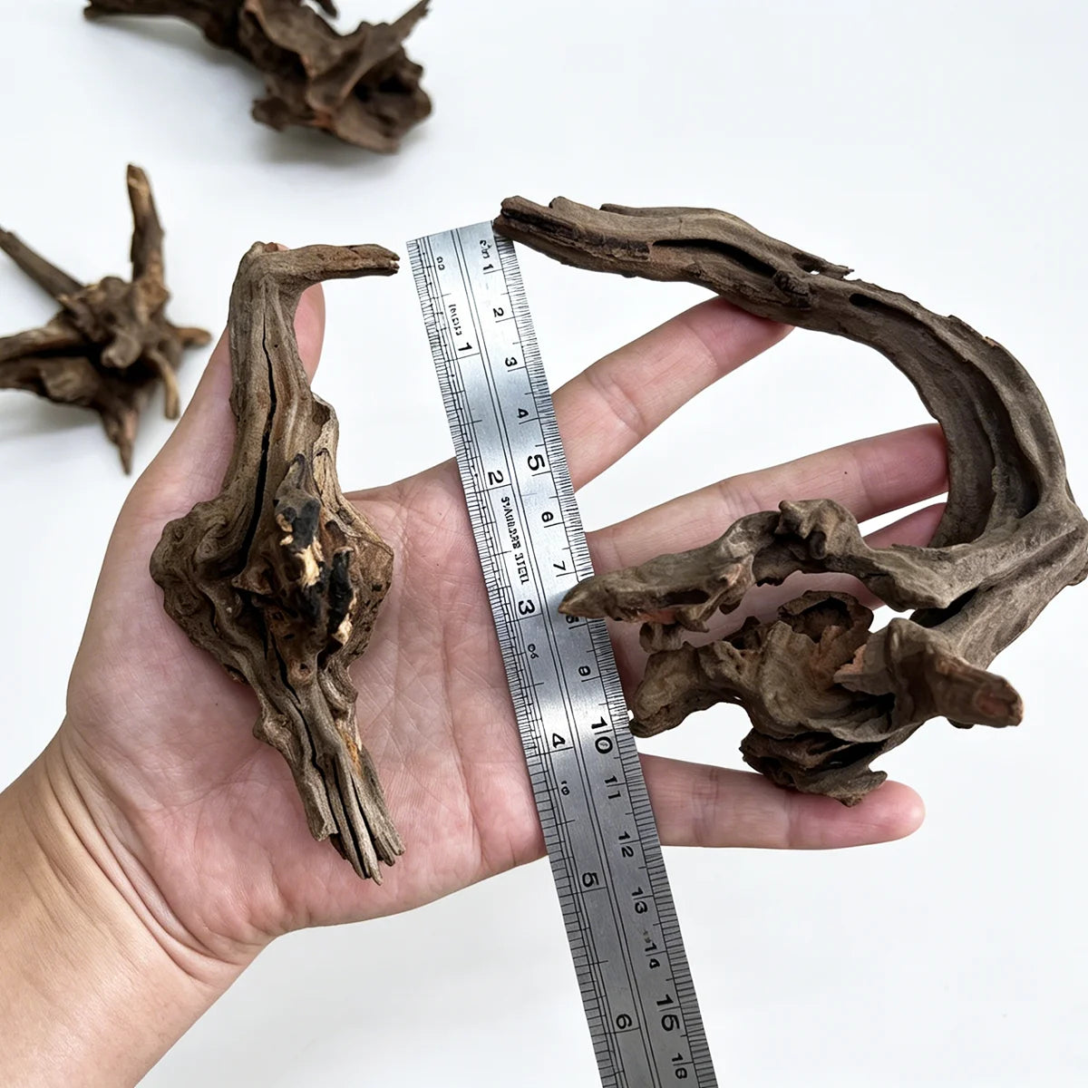 A hand holds a piece of natural driftwood used as aquarium decor next to a ruler for scale.