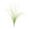 A clump of green onion grass used as a garden decoration.
