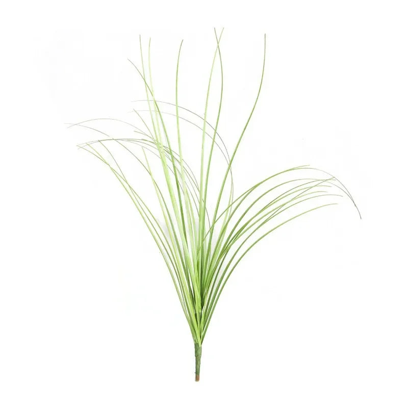 A clump of green onion grass used as a garden decoration.