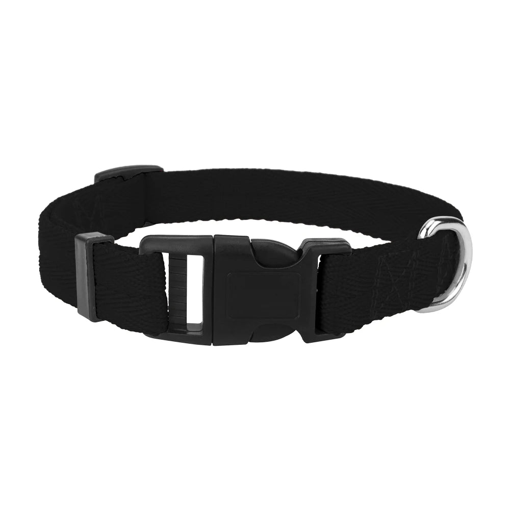 Black adjustable nylon dog collar with a quick-release buckle.
