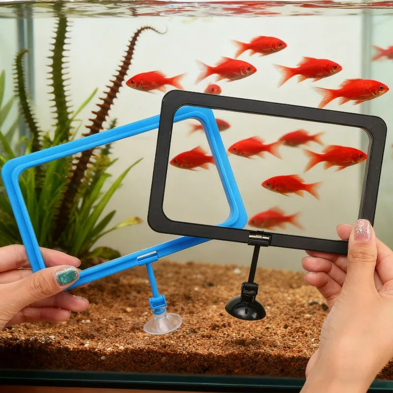 Aquarium Floating Fish Feeding Ring with Suction Cup