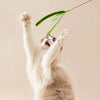 Jouet Interactif pour Chat à la Plume