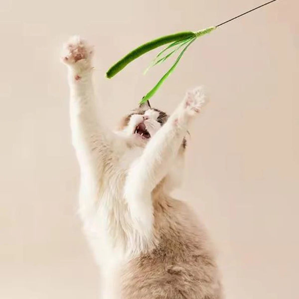 Jouet Interactif pour Chat à la Plume