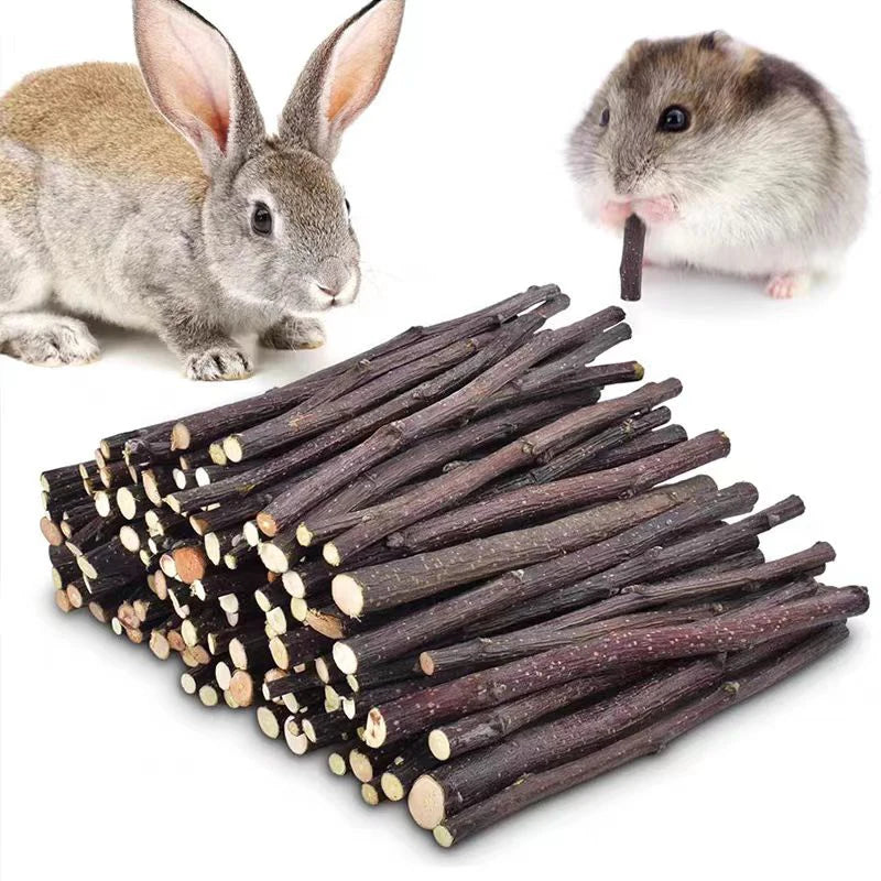 Bâtons de Mâche en Bois de Pommier Naturel pour Petits Animaux