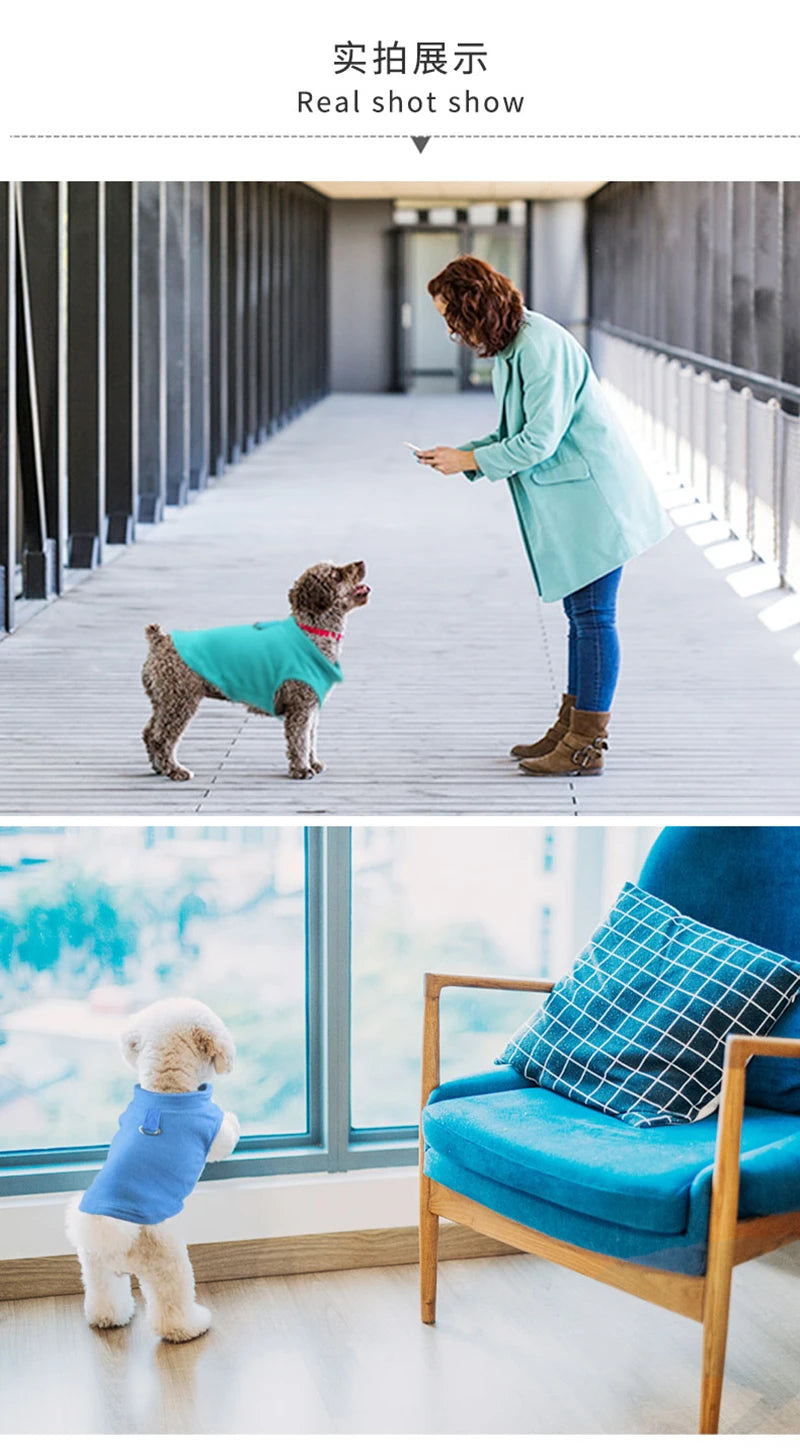 A woman is shown putting a teal fleece pet vest onto a dog, with a blurred background of an outdoor walkway.