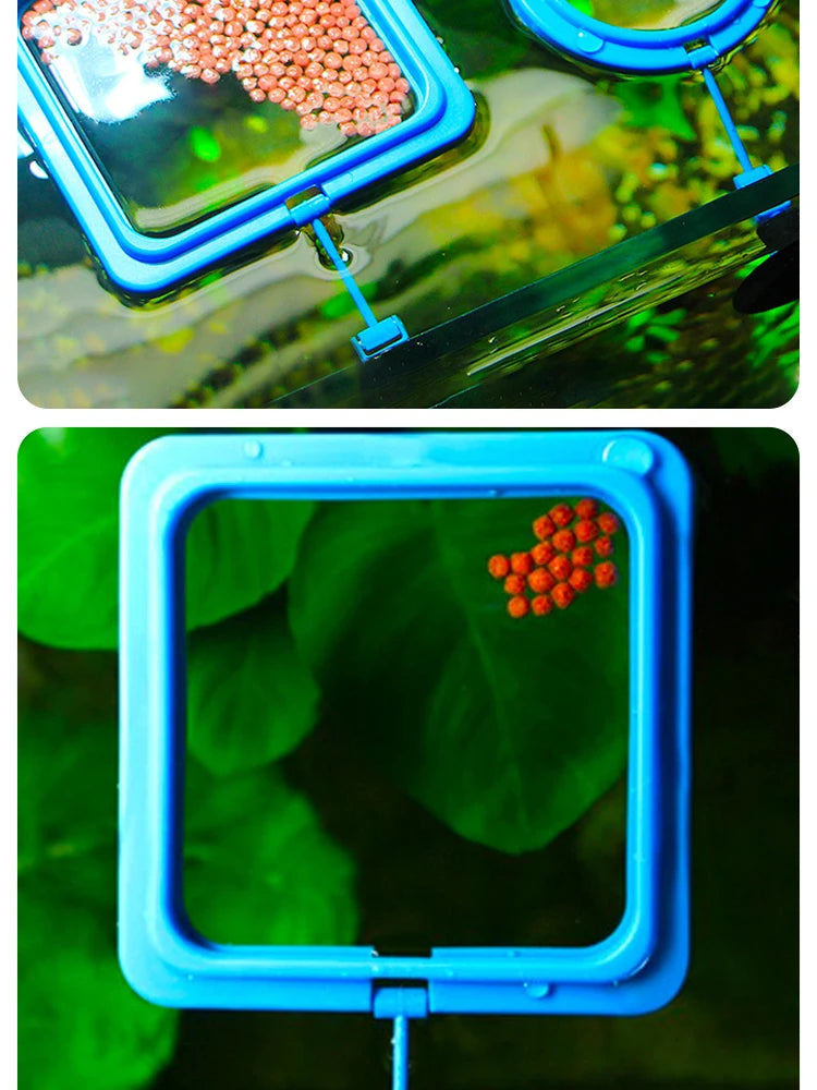 Schwimmender Futterring mit Saugnapf