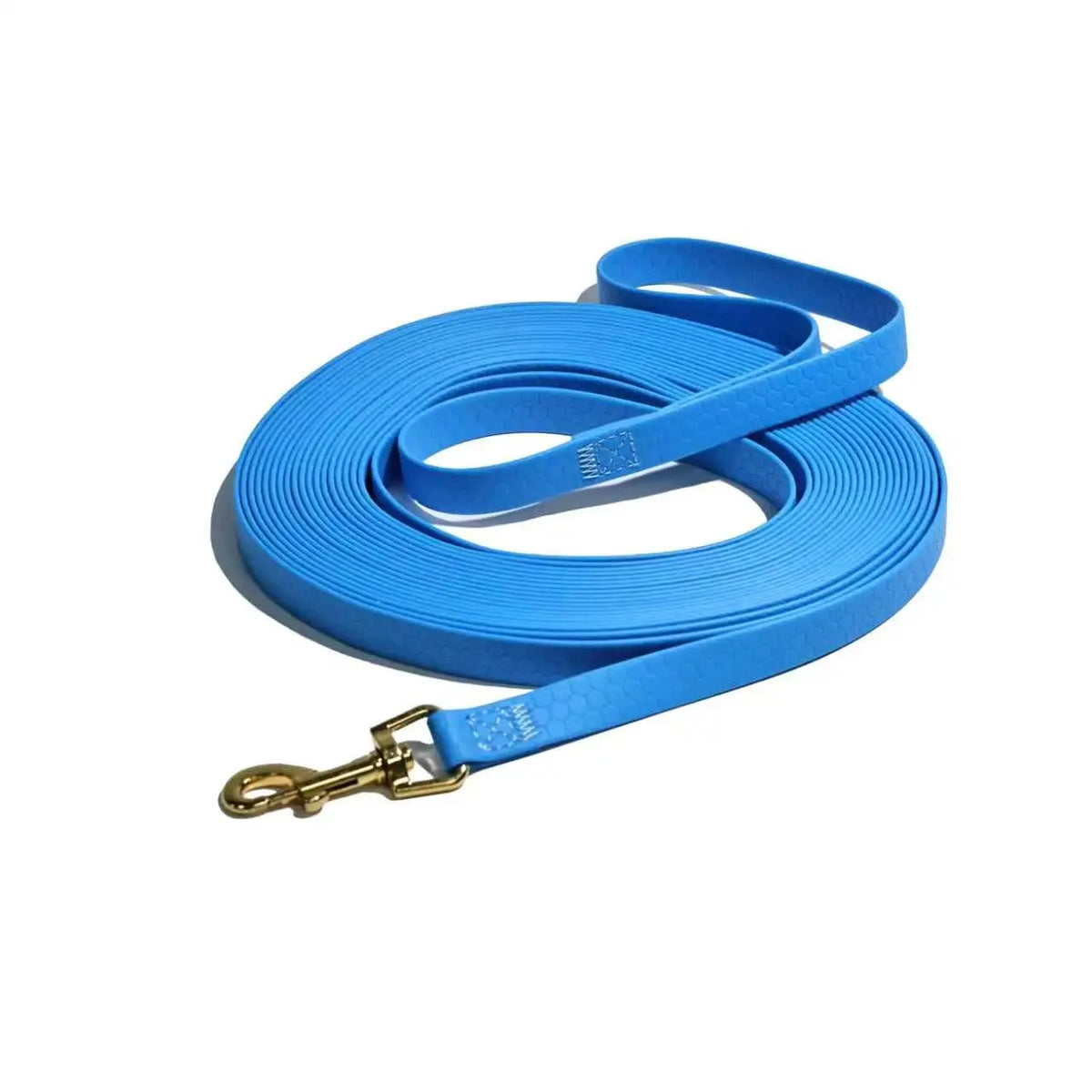 A bright blue durable waterproof dog leash with a rustproof metal hook coiled on a white background.