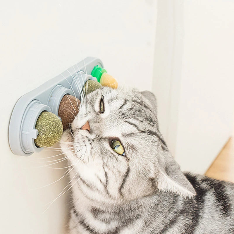 Edible Catnip Wall Balls for Dental Care and Play