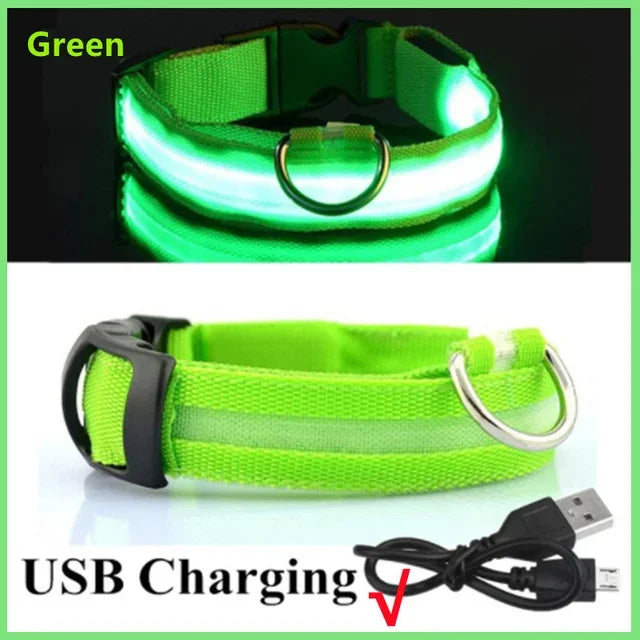 USB-aufladbarer LED-Hundehalsband für Nachtsicherheit