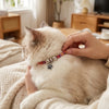 Collier pour animaux de compagnie avec empreinte de patte ajustable