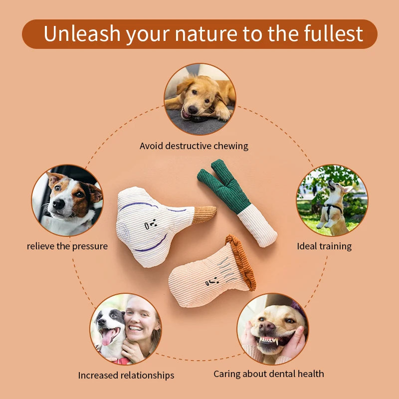 Dog Plush Squeak Toy - Onion Mushroom Garlic Series