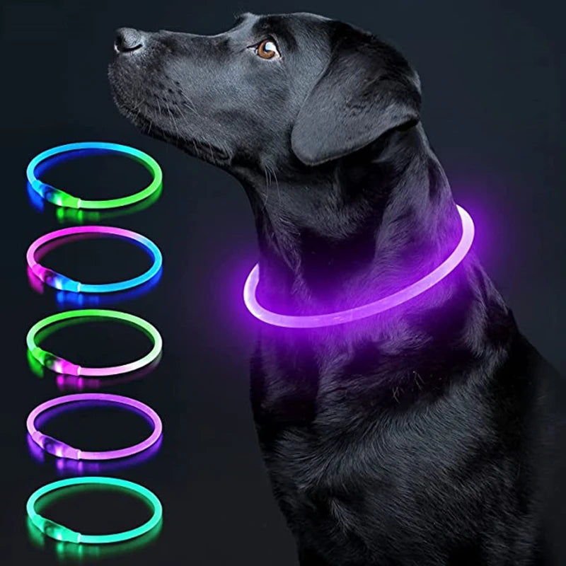 A black dog wearing a glowing LED collar with multiple colored light rings displayed next to it.