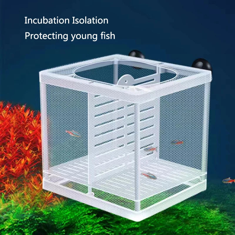 Aquarium Fish Breeding Isolation Box with Suction Cups