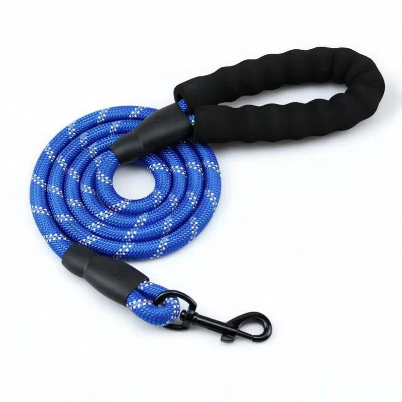 Blue reflective dog leash with a black padded handle coiled on a white background