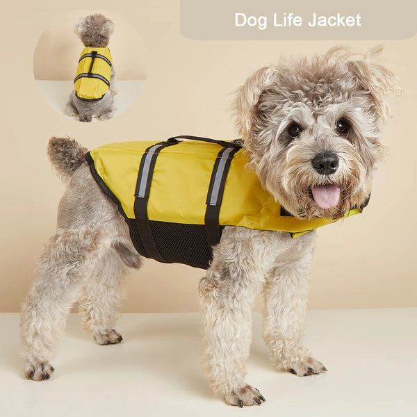 A fluffy dog wearing a yellow and black life jacket for swimming safety.
