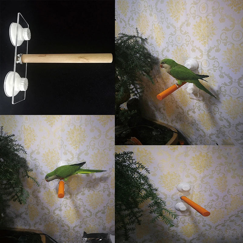 A natural wood hanging perch for parrots shown in various mounting styles and contexts.