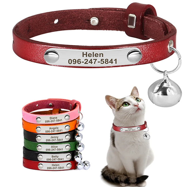 Collier en cuir personnalisé pour chat avec nom gravé