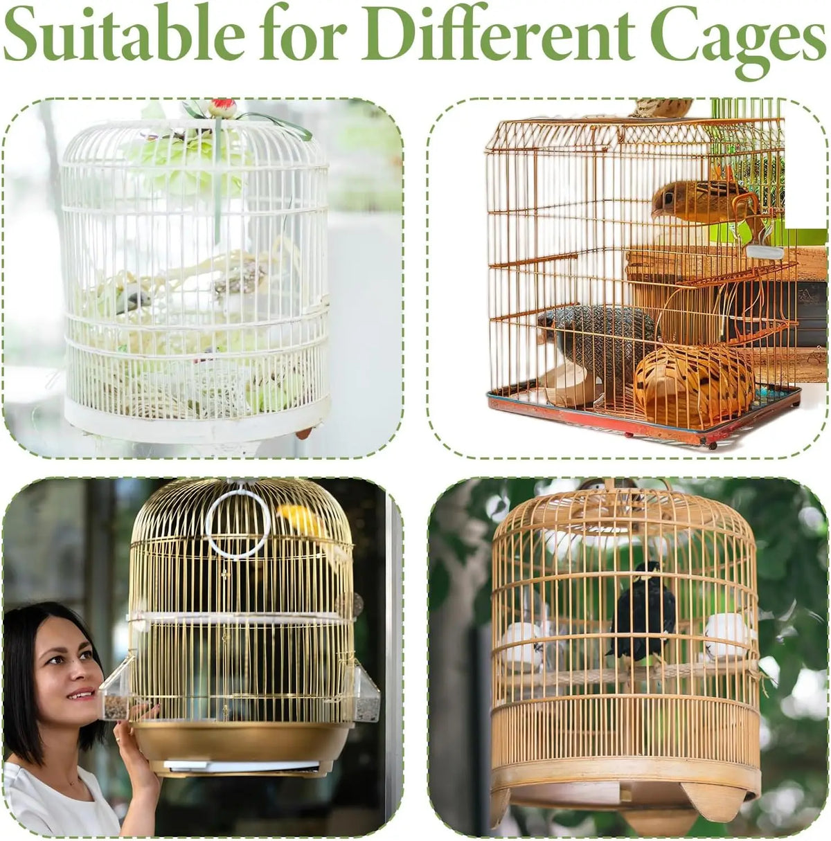 Various bird cages and nets suitable for different bird sizes and species.