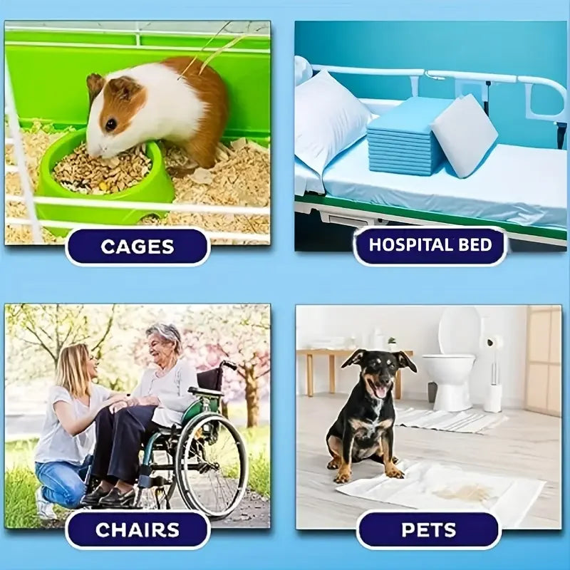 Image showing various products including cages, a hospital bed, chairs, and pets.