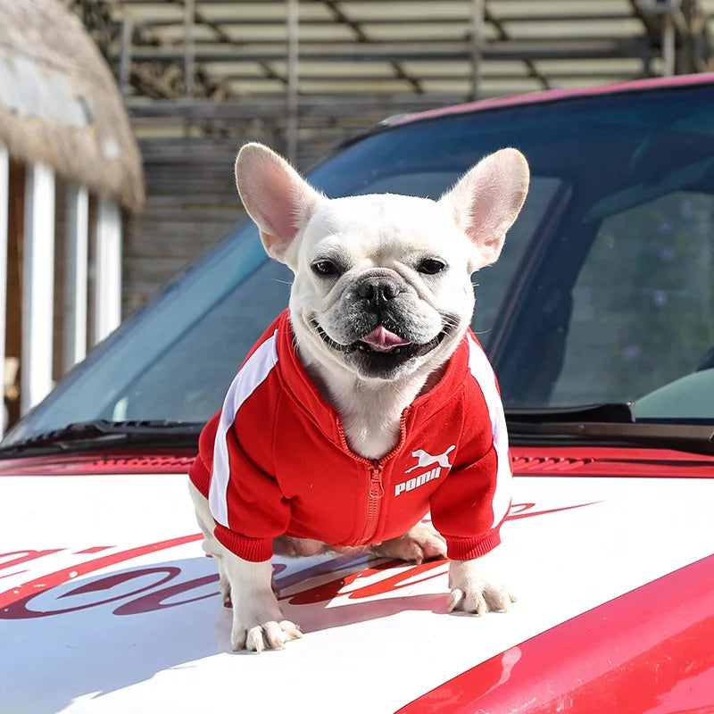 Chaqueta de Béisbol para Perros