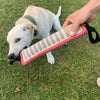 A light-colored dog is interacting with a striped jute tug of war toy held by a person on green grass.