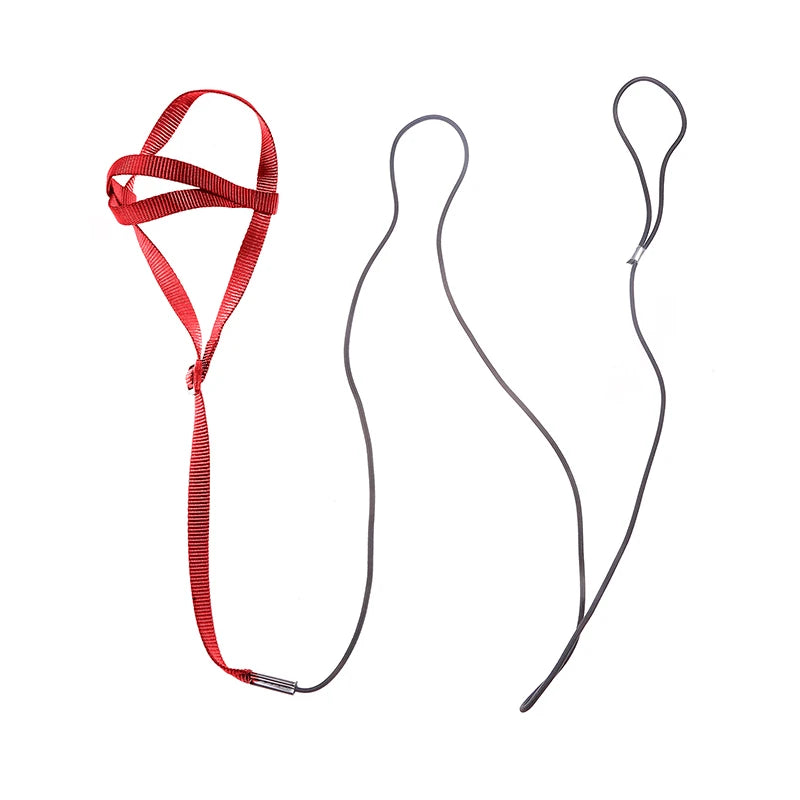 Bird Harness and Leash Set for Outdoor Adventures