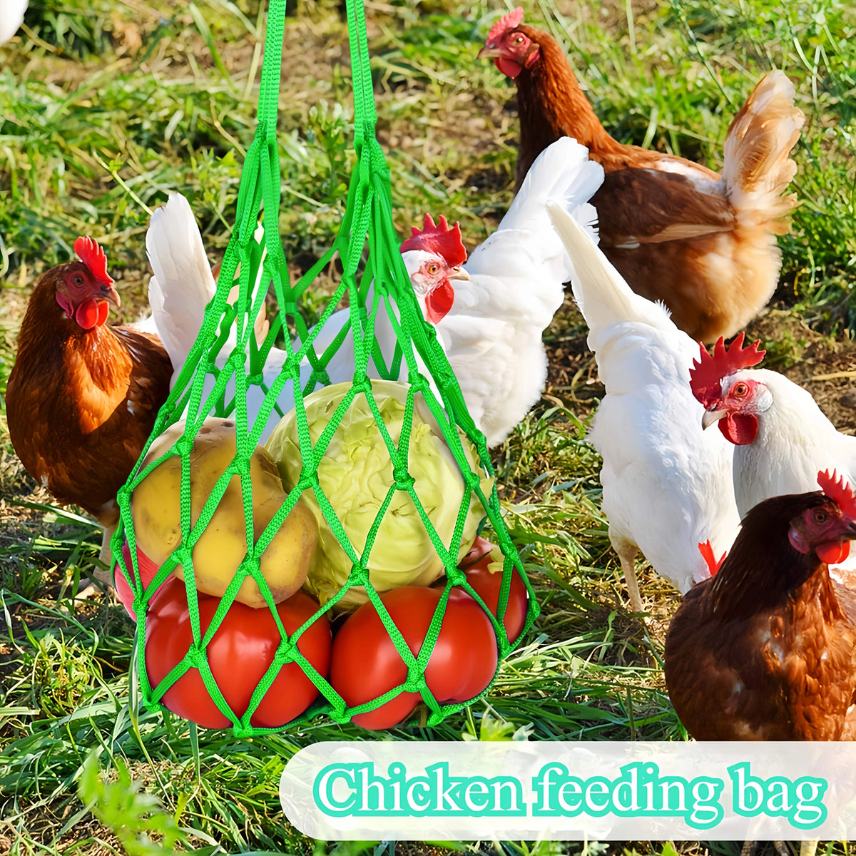 Hanging Poultry Feed Net Bag (2-Pack)