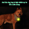 Waterproof LED Dog Collar with Rechargeable Light for Night Walks