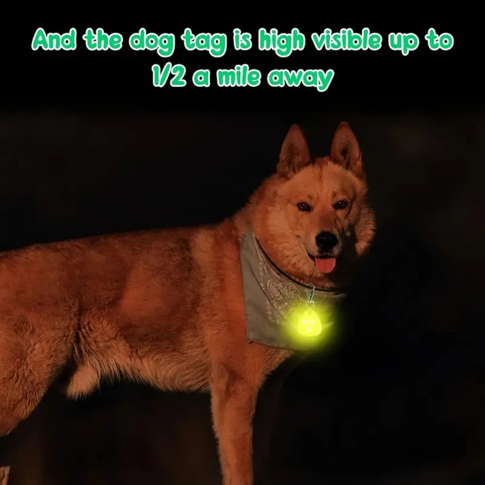 Waterproof LED Dog Collar with Rechargeable Light for Night Walks