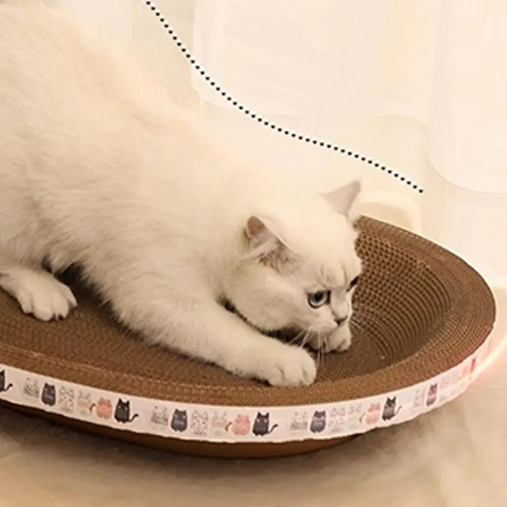 Un chat blanc se repose sur un griffoir en carton rond.