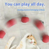 Interactive Automatic Rolling Cat Toy with Tail