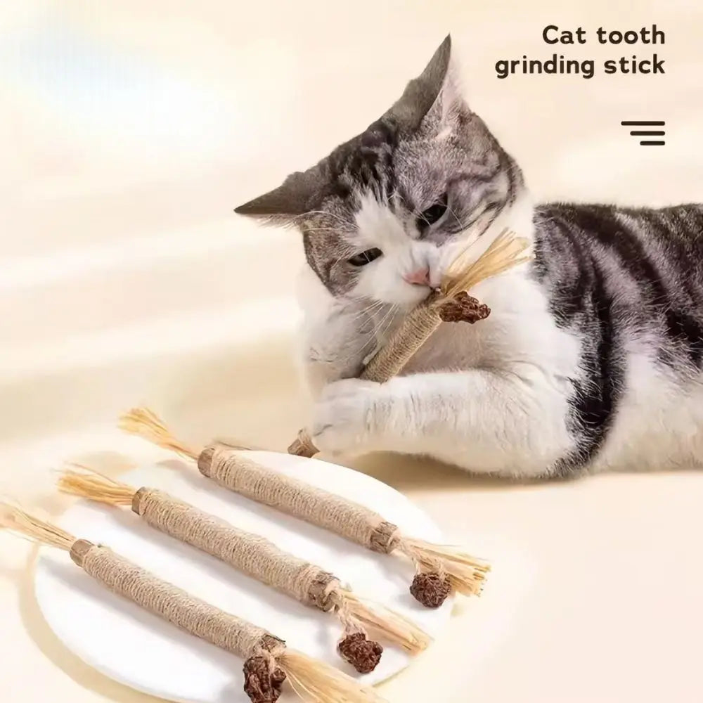 Cat Dental Care Chew Stick with Silver Vine
