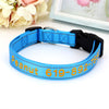 Personalisierte bestickte Nylon-Hundehalsband