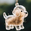 Transparent Pet Hair Keepsake Charm for Keys