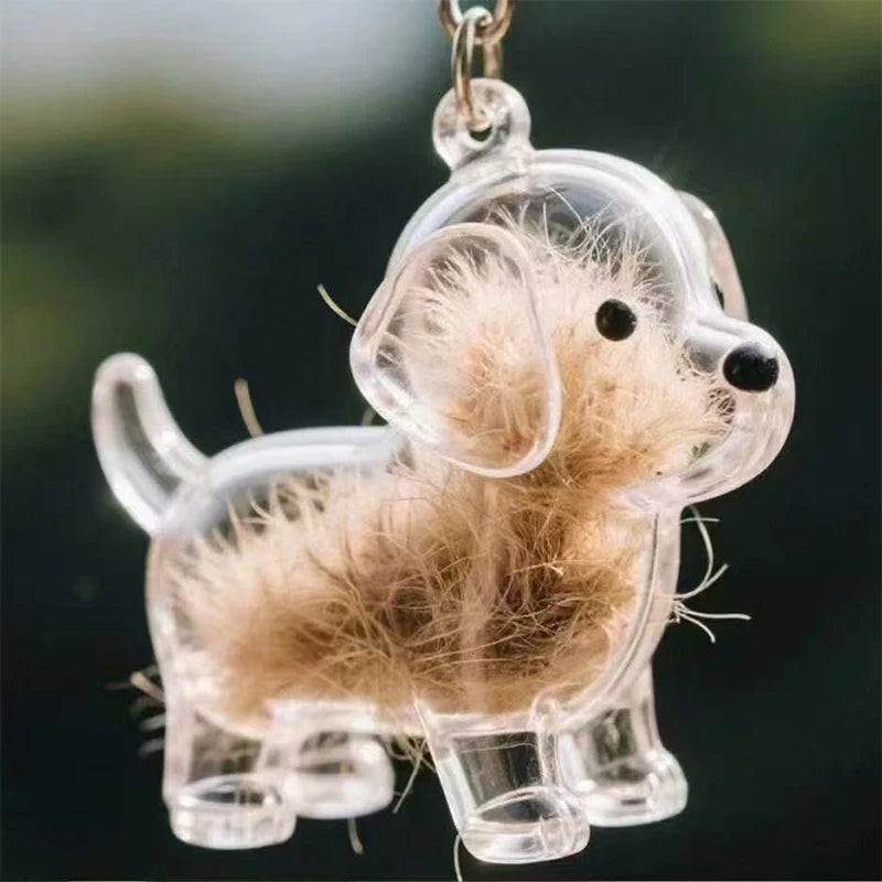 Transparent Pet Hair Keepsake Charm for Keys