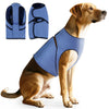 Golden Retriever trägt ein blaues beruhigendes Anti-Angst-Vest für Hunde und Katzen, gezeigt mit Produktansichten.