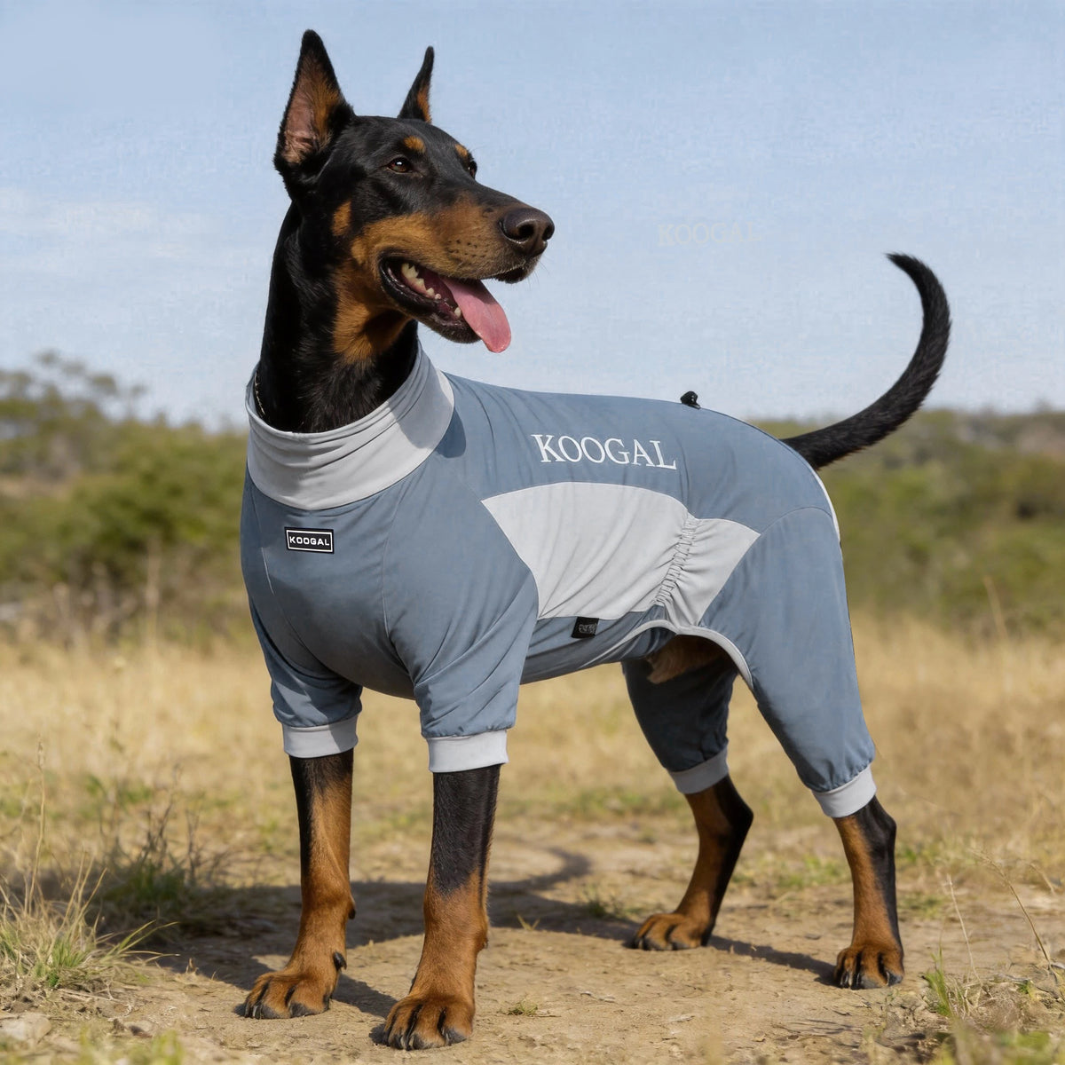 Pet Cooling Full-Body Suit for Summer Heat Relief