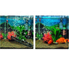 Kit de Barre à Bulles Flexible pour Aquarium