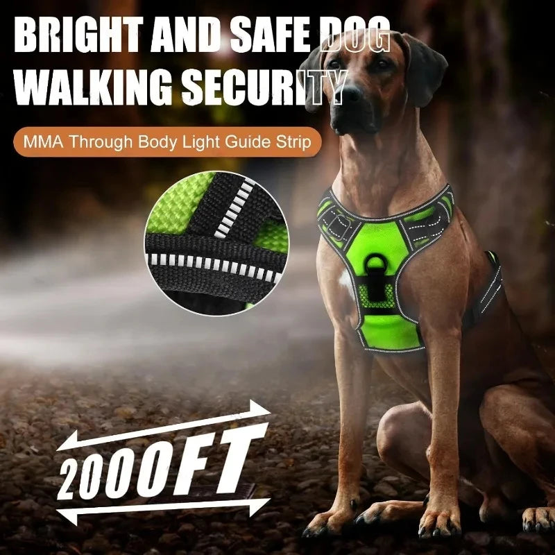 Rechargeable LED Dog Harness with 3 Light Modes for Night Safety
