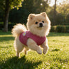 Floral Rose Waffle Vest for Small Dogs — Breathable Summer Top