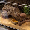 Natural Resin Rock Cave Hideout for Reptiles