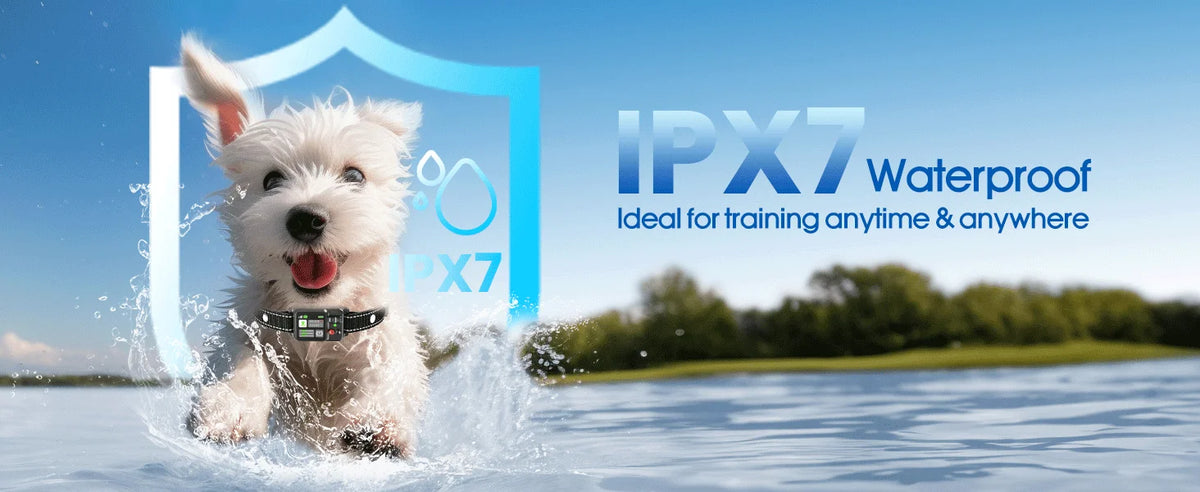 A white dog jumping in water with an IPX7 waterproof training collar and a blue shield graphic.