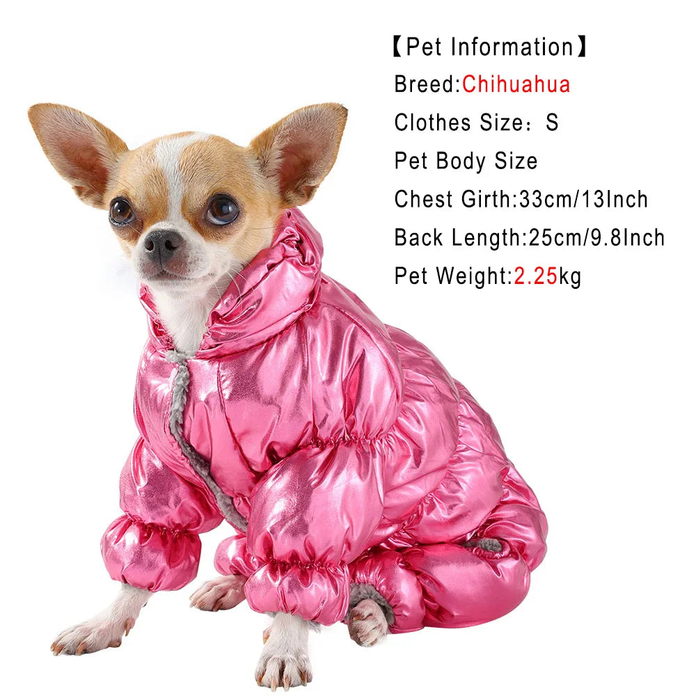 A small Chihuahua dog wearing a pink, puffy, waterproof fleece jumpsuit.