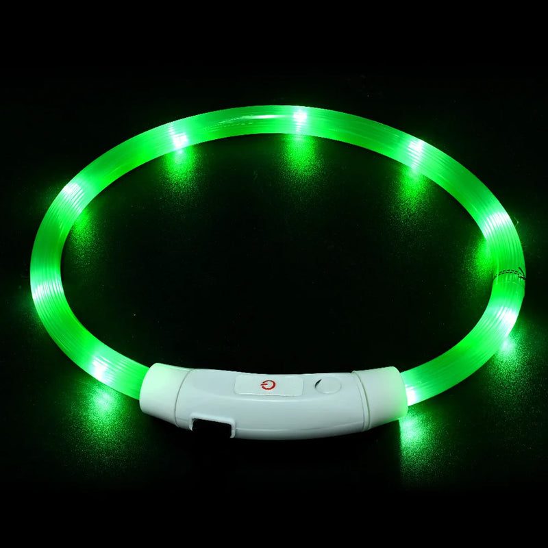 USB-aufladbarer LED-Hundehalsband