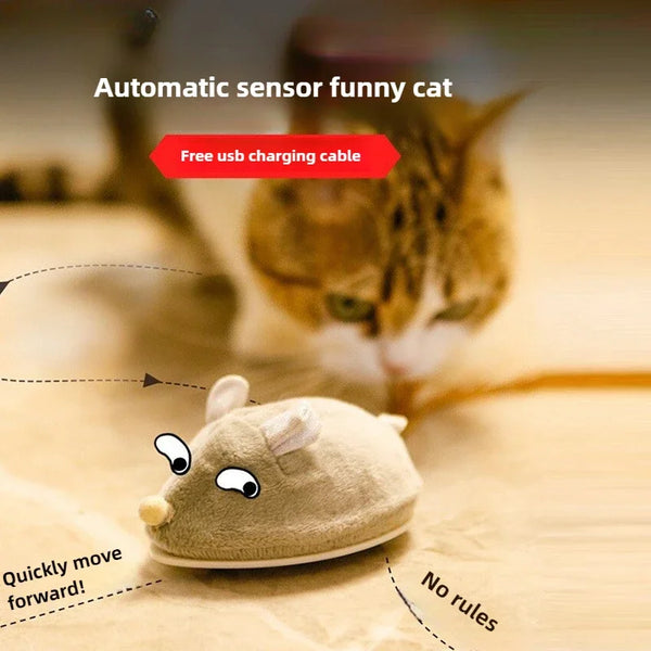 A fluffy orange cat is looking down at an interactive electric mouse toy, which is positioned on a wooden surface.