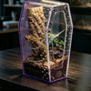 A clear acrylic enclosure for a spider featuring wood and foliage, designed for feeding.