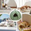 Lit pour chat en forme de citrouille d'Halloween