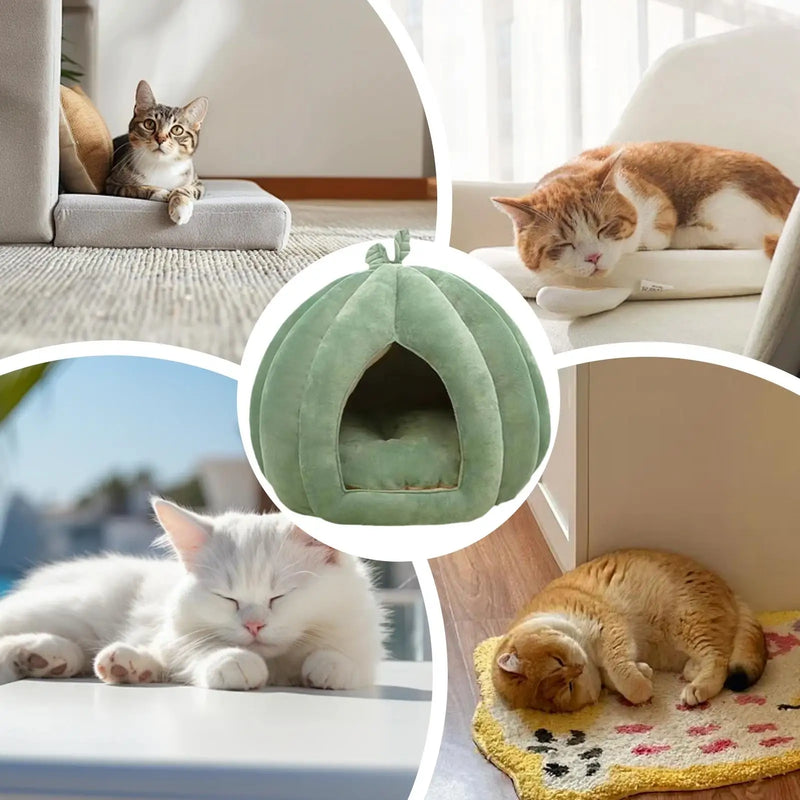 Lit pour chat en forme de citrouille d'Halloween